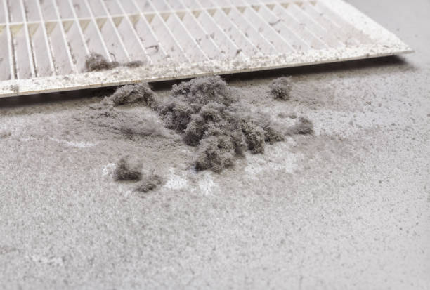 Best Duct Cleaning for Offices  in Coushatta, LA